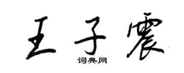 王正良王子震行书个性签名怎么写