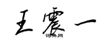 王正良王震一行书个性签名怎么写