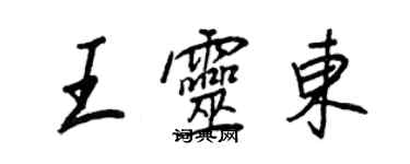 王正良王灵东行书个性签名怎么写