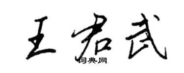 王正良王君武行书个性签名怎么写