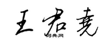 王正良王君尧行书个性签名怎么写