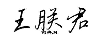 王正良王朕君行书个性签名怎么写