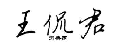 王正良王侃君行书个性签名怎么写