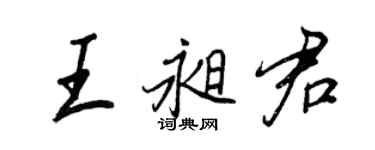 王正良王昶君行书个性签名怎么写