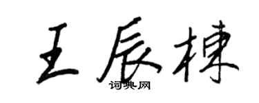 王正良王辰栋行书个性签名怎么写