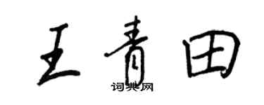 王正良王青田行书个性签名怎么写
