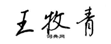 王正良王牧青行书个性签名怎么写