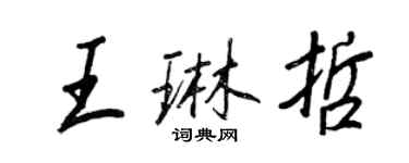 王正良王琳哲行书个性签名怎么写