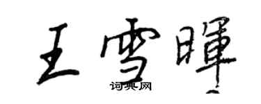 王正良王雪晖行书个性签名怎么写