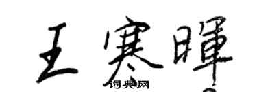 王正良王寒晖行书个性签名怎么写