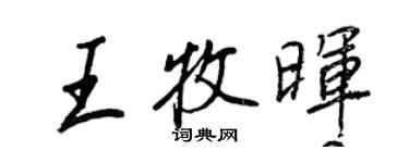 王正良王牧晖行书个性签名怎么写