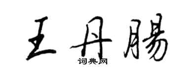 王正良王丹肠行书个性签名怎么写