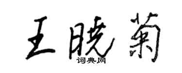 王正良王晓菊行书个性签名怎么写