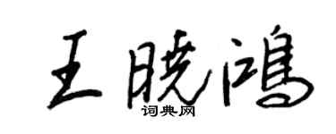 王正良王晓鸿行书个性签名怎么写