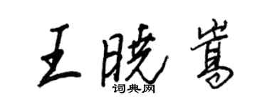 王正良王晓嵩行书个性签名怎么写