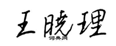 王正良王晓理行书个性签名怎么写