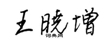 王正良王晓增行书个性签名怎么写