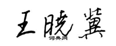 王正良王晓冀行书个性签名怎么写