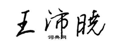 王正良王沛晓行书个性签名怎么写