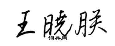 王正良王晓朕行书个性签名怎么写