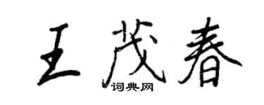 王正良王茂春行书个性签名怎么写