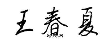 王正良王春夏行书个性签名怎么写