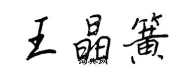 王正良王晶簧行书个性签名怎么写