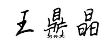 王正良王鼎晶行书个性签名怎么写