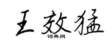 王正良王效猛行书个性签名怎么写