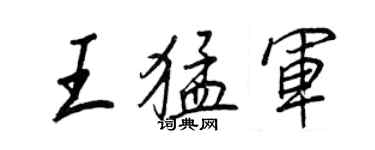 王正良王猛军行书个性签名怎么写