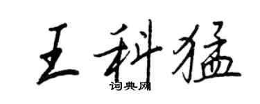 王正良王科猛行书个性签名怎么写