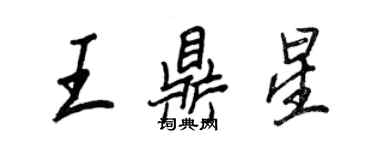 王正良王鼎星行书个性签名怎么写