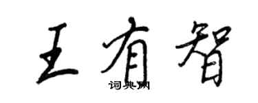 王正良王有智行书个性签名怎么写