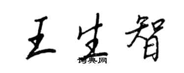 王正良王生智行书个性签名怎么写