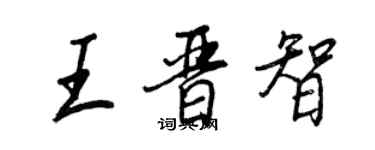 王正良王晋智行书个性签名怎么写