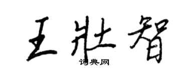 王正良王壮智行书个性签名怎么写