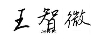 王正良王智微行书个性签名怎么写
