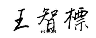 王正良王智标行书个性签名怎么写