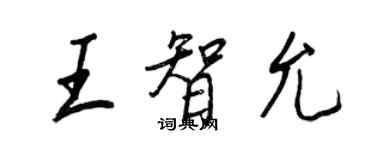 王正良王智允行书个性签名怎么写
