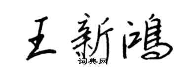 王正良王新鸿行书个性签名怎么写