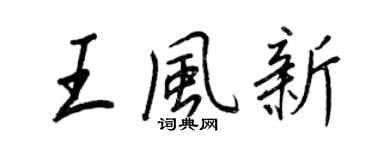 王正良王风新行书个性签名怎么写