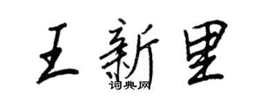 王正良王新里行书个性签名怎么写
