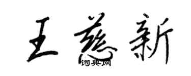 王正良王慈新行书个性签名怎么写
