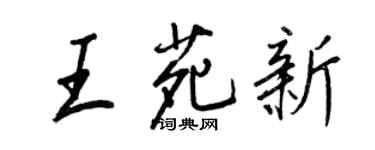 王正良王苑新行书个性签名怎么写