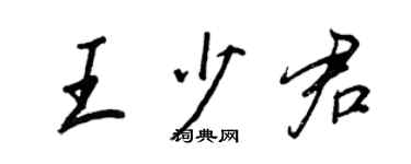 王正良王少君行书个性签名怎么写