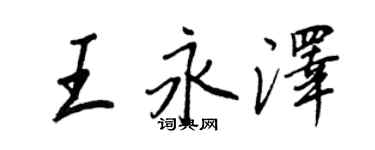 王正良王永泽行书个性签名怎么写