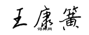 王正良王康簧行书个性签名怎么写