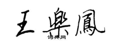 王正良王乐凤行书个性签名怎么写