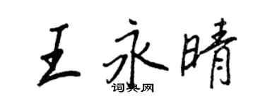 王正良王永晴行书个性签名怎么写