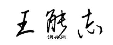 王正良王能志行书个性签名怎么写